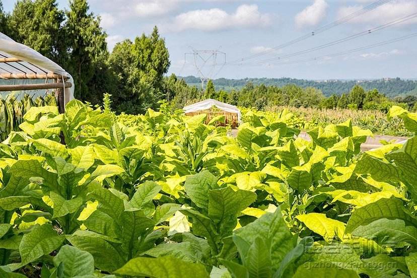 黑旋风李逵杀四虎的沂水，这些东西让你魂牵梦绕过目不忘！