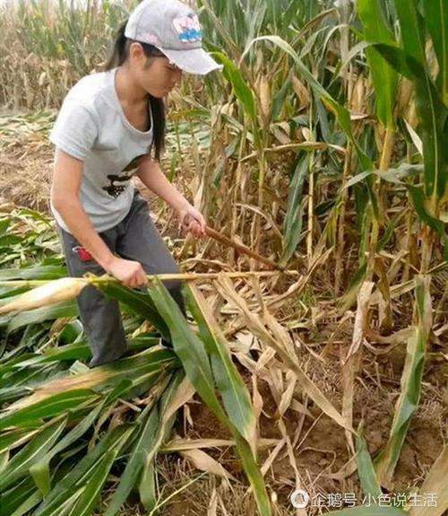 ［乡土小说］巧子嫁给了大狗，三年后，给二狗生了娃