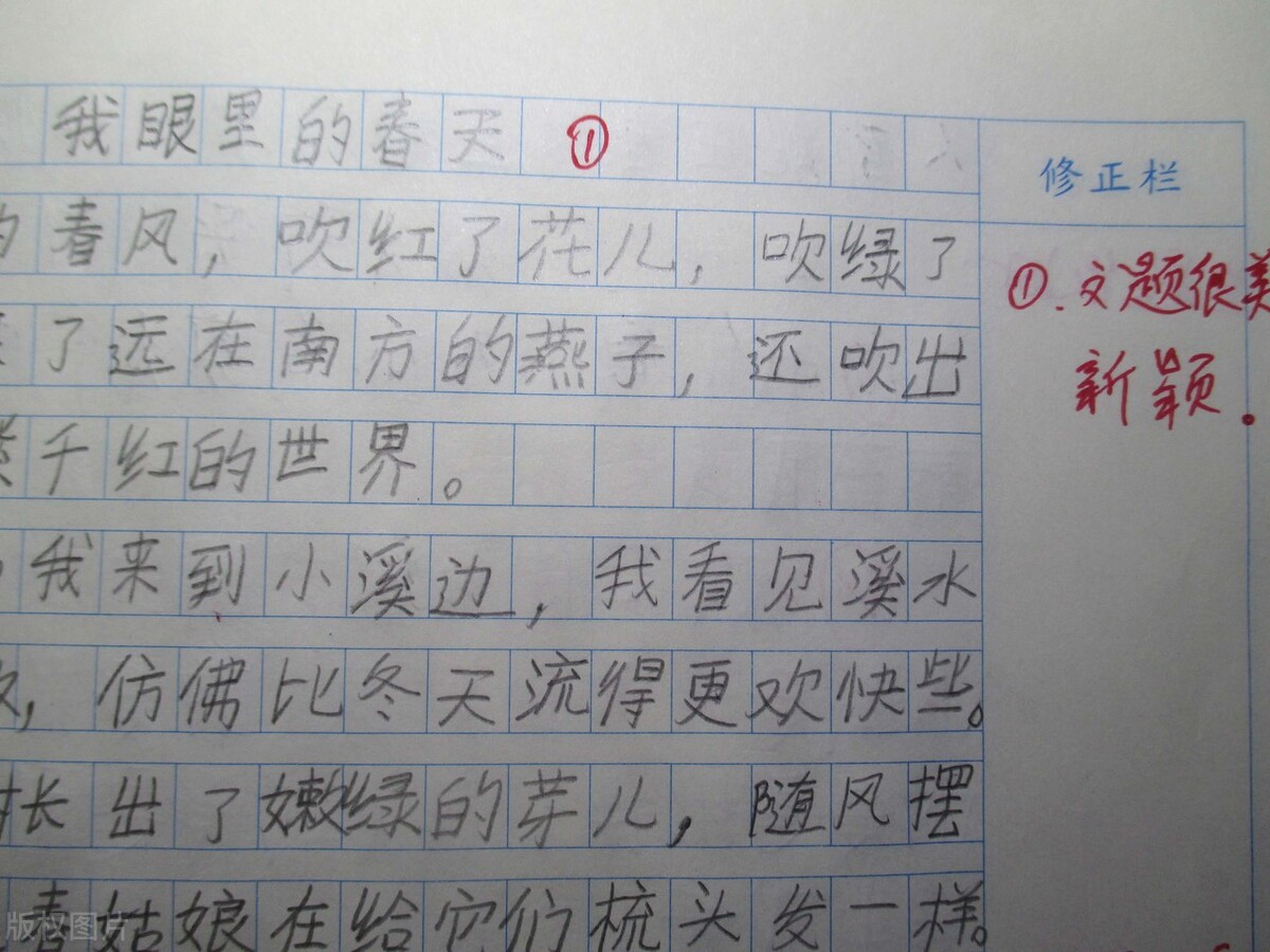 小学优秀作文《可爱的小狗》