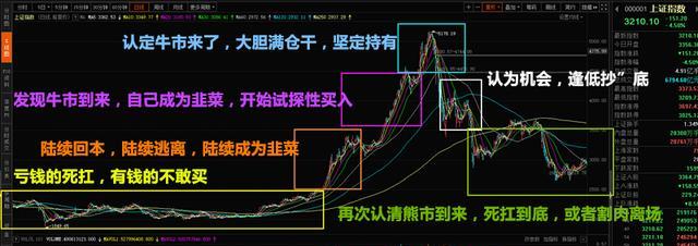 牛市才是散户的噩梦（牛市散户更容易亏钱）