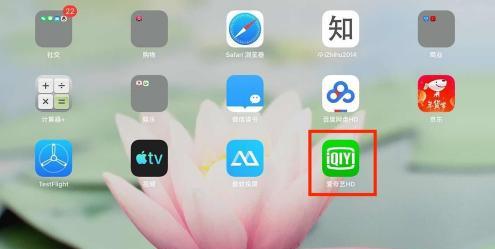 ipad爱奇艺青少年模式怎么开启（ipad爱奇艺儿童模式设置）