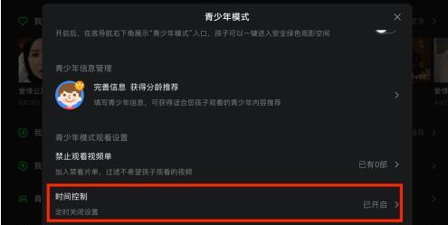 ipad爱奇艺青少年模式怎么开启（ipad爱奇艺儿童模式设置）