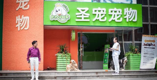 开一家宠物加盟店有哪些要求吗？（我想开一家宠物店,自己开还是加盟好）