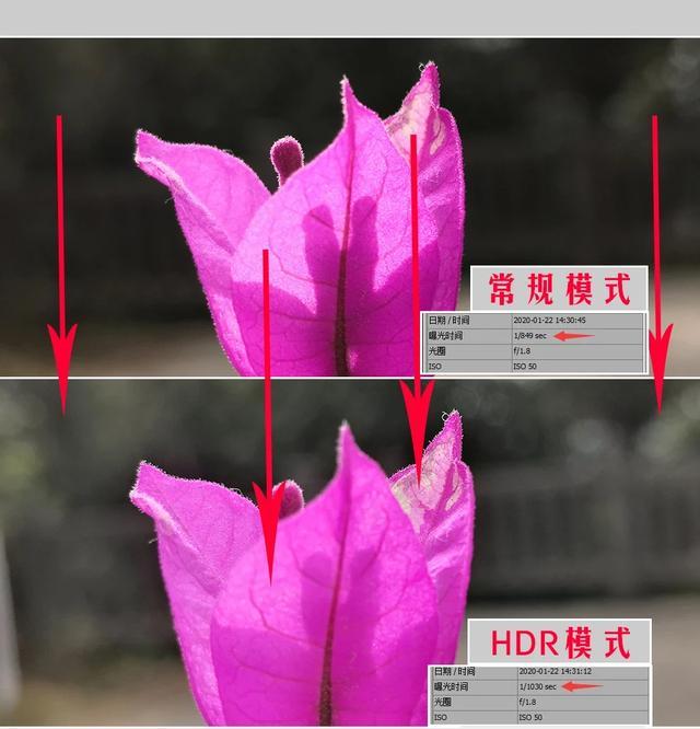 手机拍照什么情况下用HDR（手机中hdr模式拍照是什么意思）