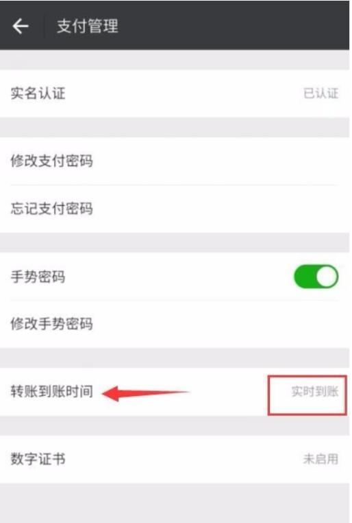 微信延时到账怎么设置的（微信如何延时到账）