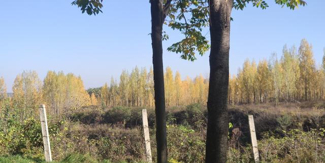 什么样的旅游短视频受关注（短视频旅游影响）