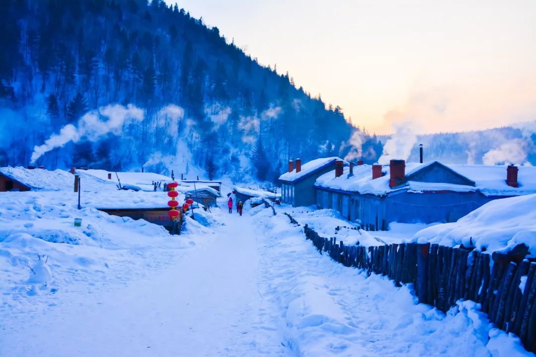 十首梅花诗词,惊艳了整个冬天（冬天雪中梅花优美诗词）