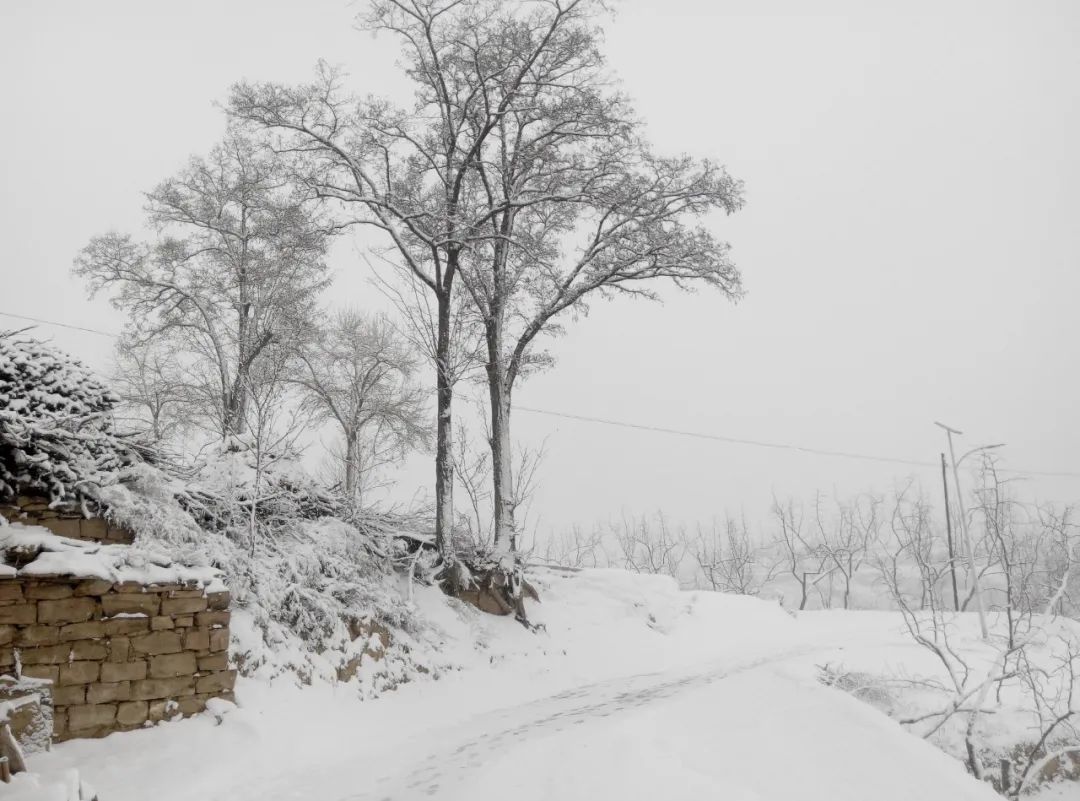 十首梅花诗词,惊艳了整个冬天（冬天雪中梅花优美诗词）