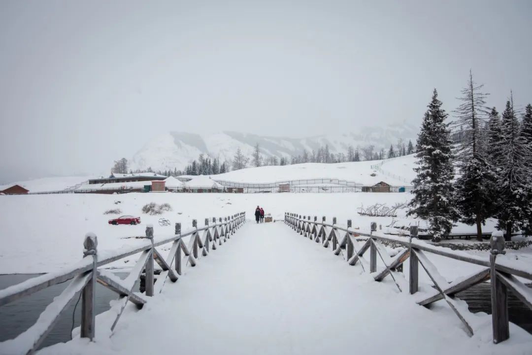 十首梅花诗词,惊艳了整个冬天（冬天雪中梅花优美诗词）