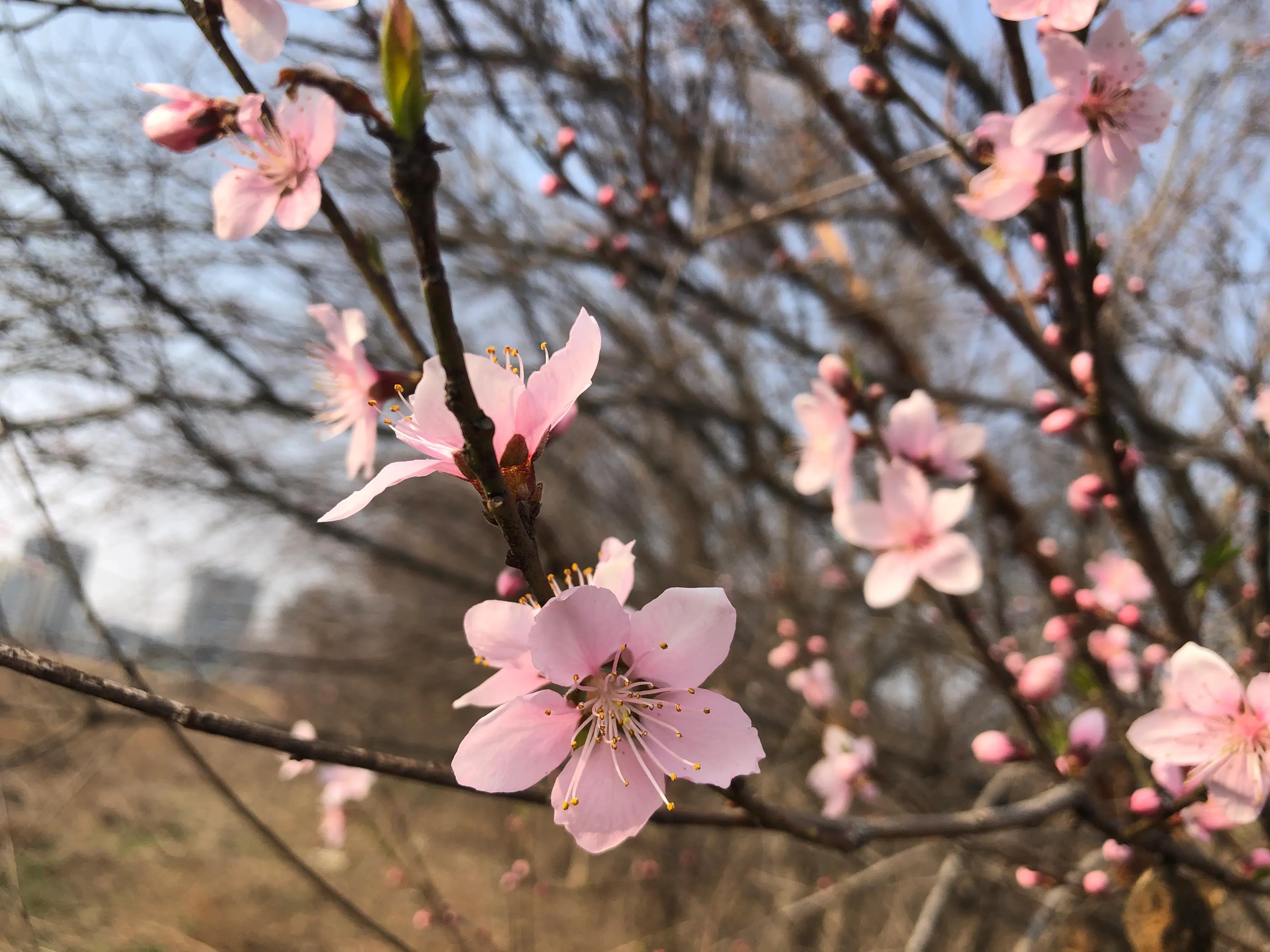 小学六年级对联专题训练（居家对句）