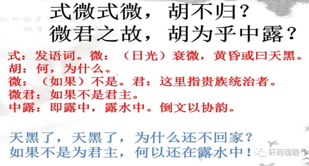 从朝朝996的现代社畜角度赏析《诗经 式微》