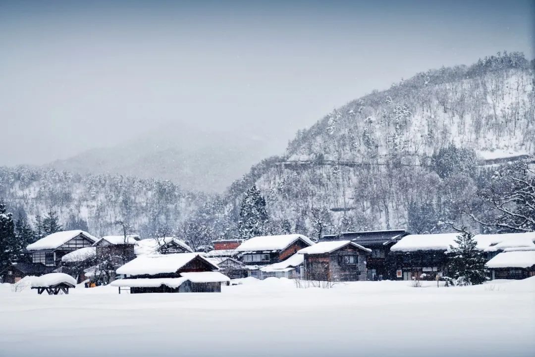 十首梅花诗词,惊艳了整个冬天（冬天雪中梅花优美诗词）