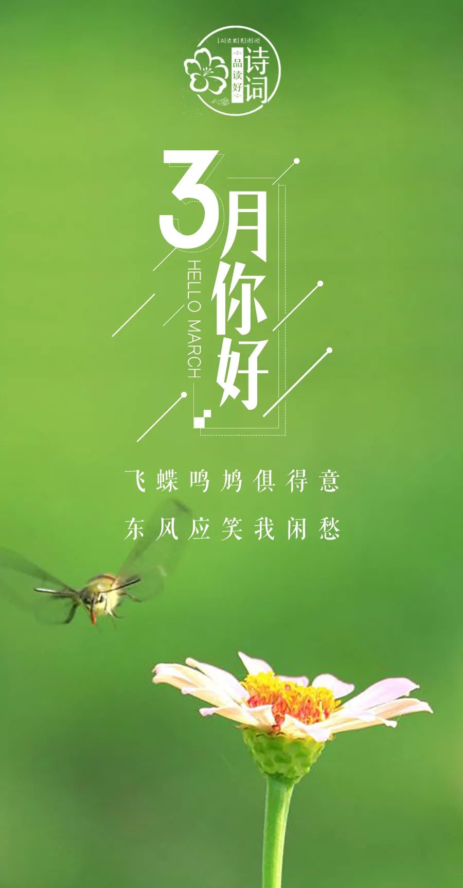 三月 你好，许你人间三月天！那些关于春天的诗句，感受春风拂面