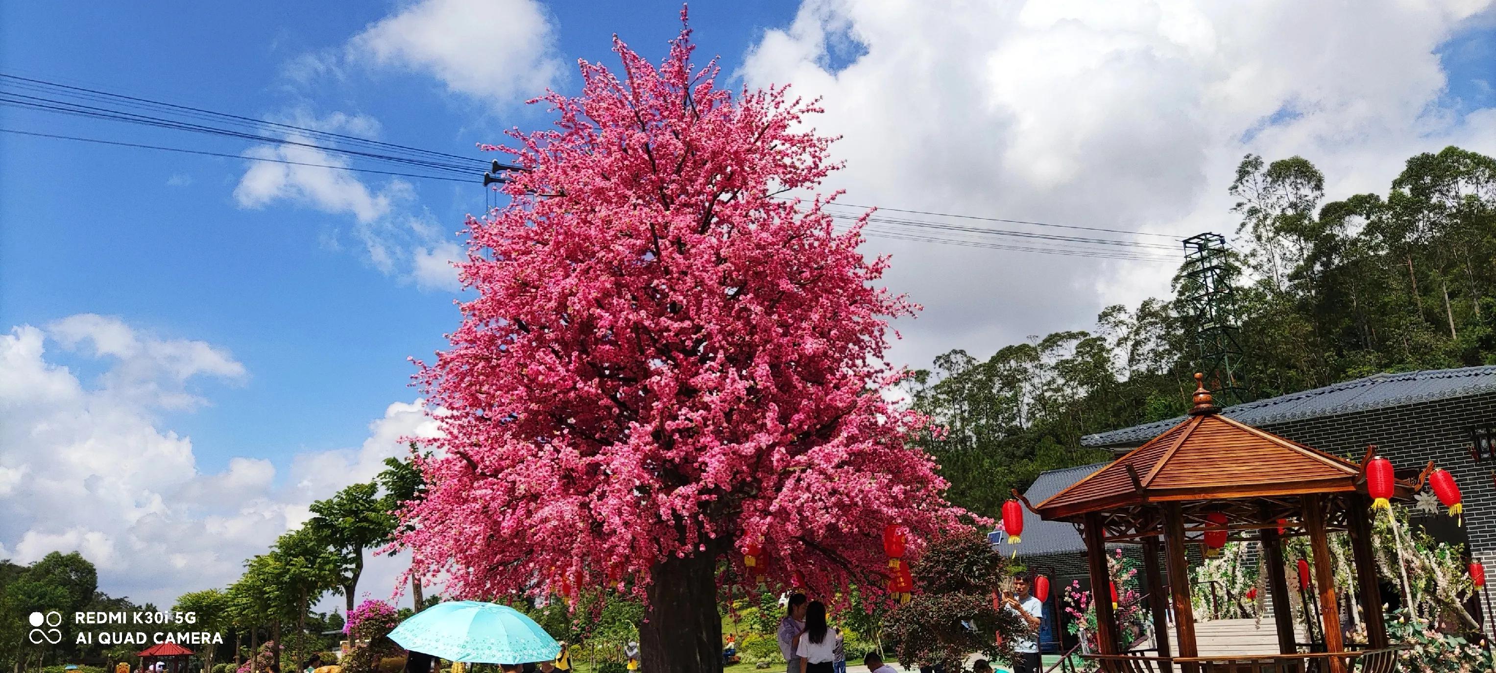 七律妻子生日有感（妻子生日感言七律）