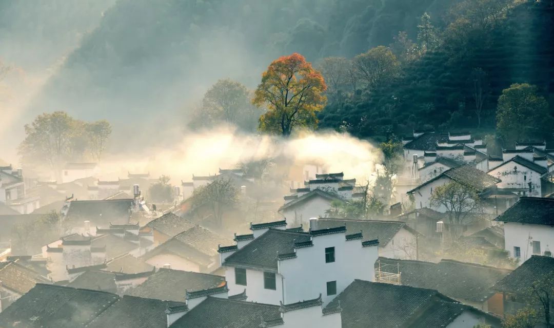 田园诗词大全100首（关于乡村田园风光的诗名）