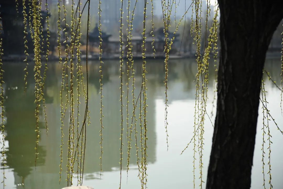 古诗词意象意境鉴赏（古诗词里经典的意象）