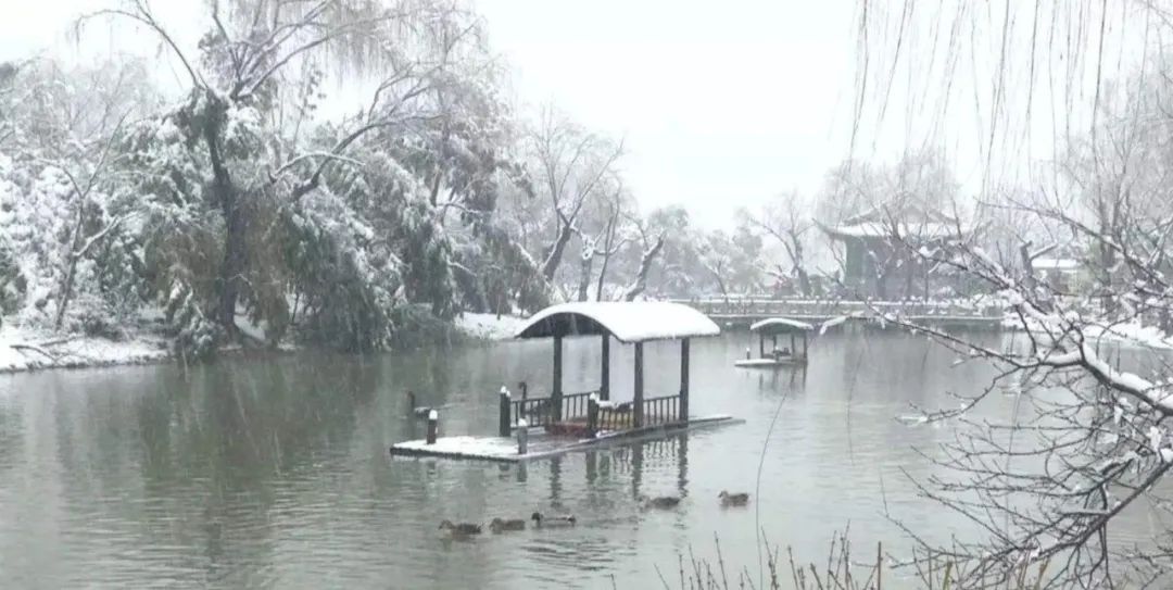 冬天的景色古诗词（关于冬天景色的古诗一整首）