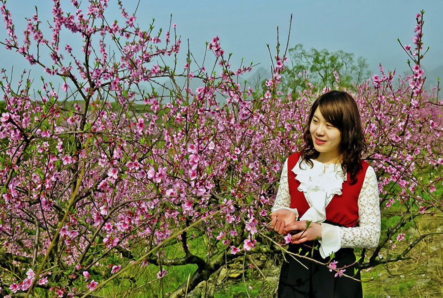 让心在灿烂中死去,让爱在灰烬里重生什么意思（让心在灿烂中死去让爱在灰烬里重生）