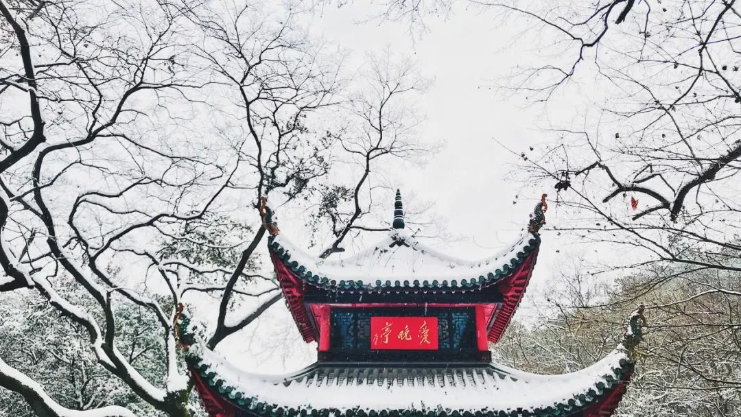 十首梅花诗词,惊艳了整个冬天（冬天雪中梅花优美诗词）