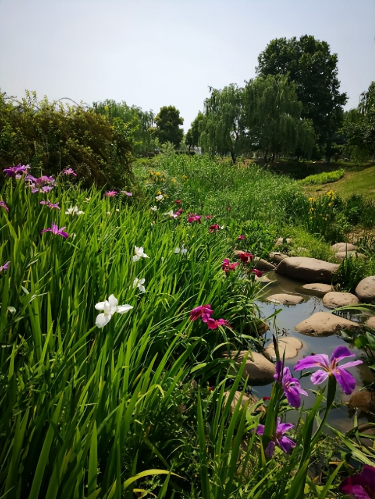 春残花香尽，古诗词里的春天，有你未曾发现的风景