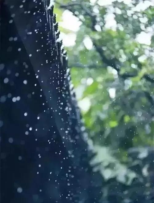 雨后的说说短句子（雨后句子说说）