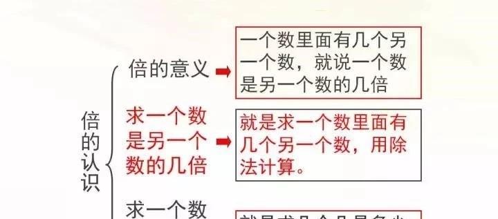 三年级数学｜第五单元倍的认识综合复习+专项整合练习，复习必备