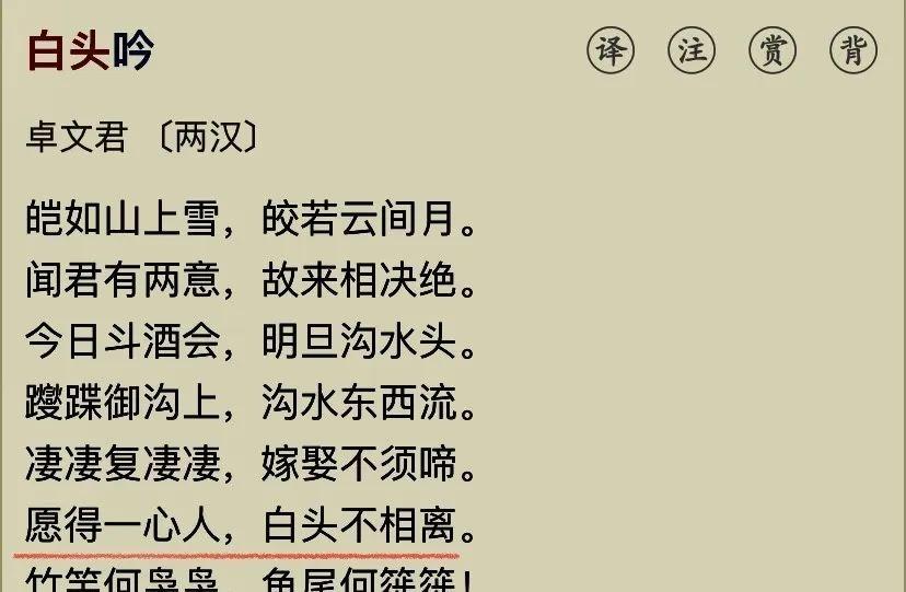 表白爱情诗词名句名言（爱情表白诗句经典语录）