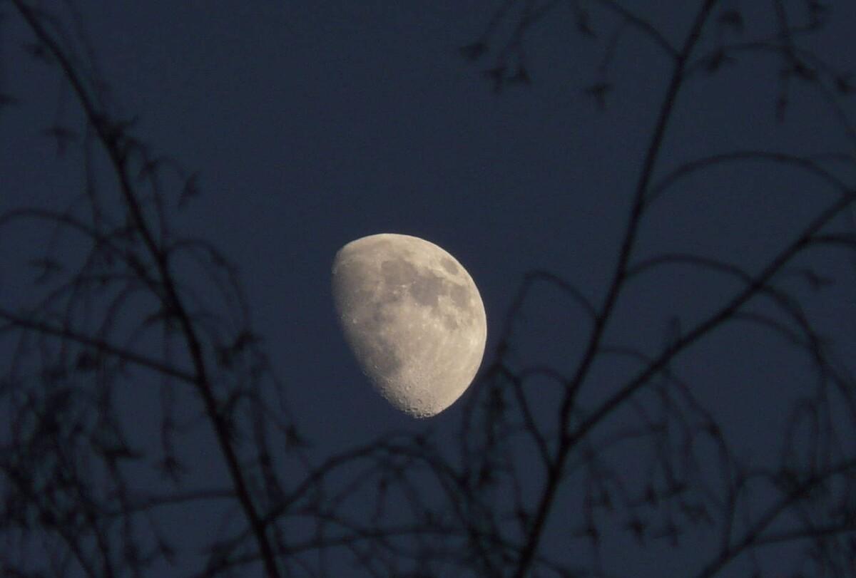 刘方平的《月夜》赏析（刘方平的月夜赏析）