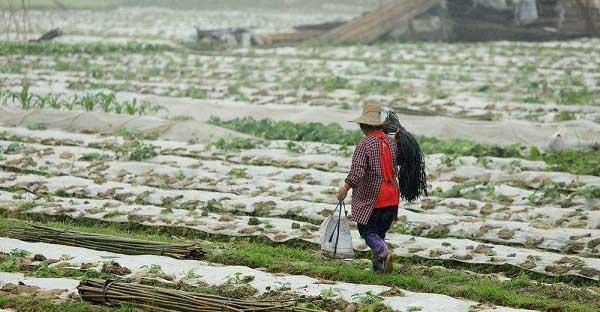 2020年的谷雨是几月几日（2020年谷雨是哪天）