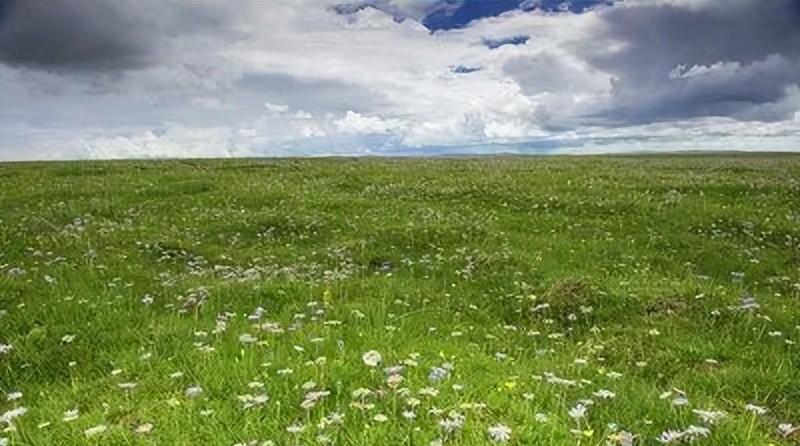 中秋本是团圆日 却有异客他乡行（独在异乡为异客中秋）