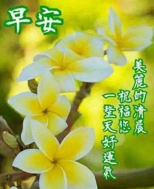 早上暖心祝福短信（温暖的早上好心语）