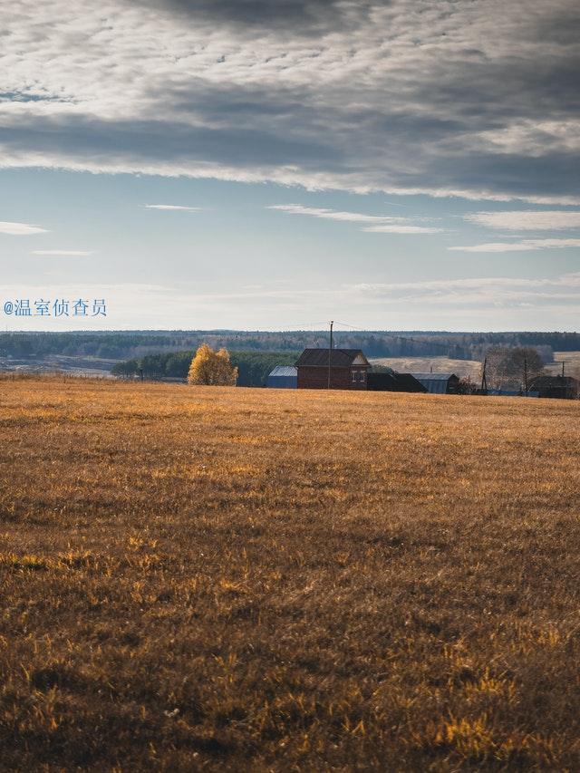 金字塔销售模式的利弊（金字塔销售模式获利的是哪些人）