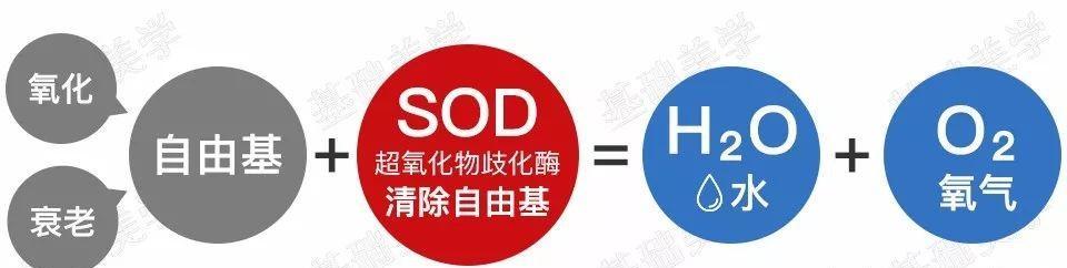 大宝sod蜜为什么这么便宜（大宝sod蜜贵吗）