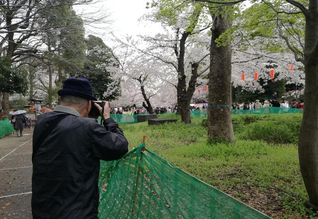 去日本旅游的攻略（最想去日本哪里旅游）