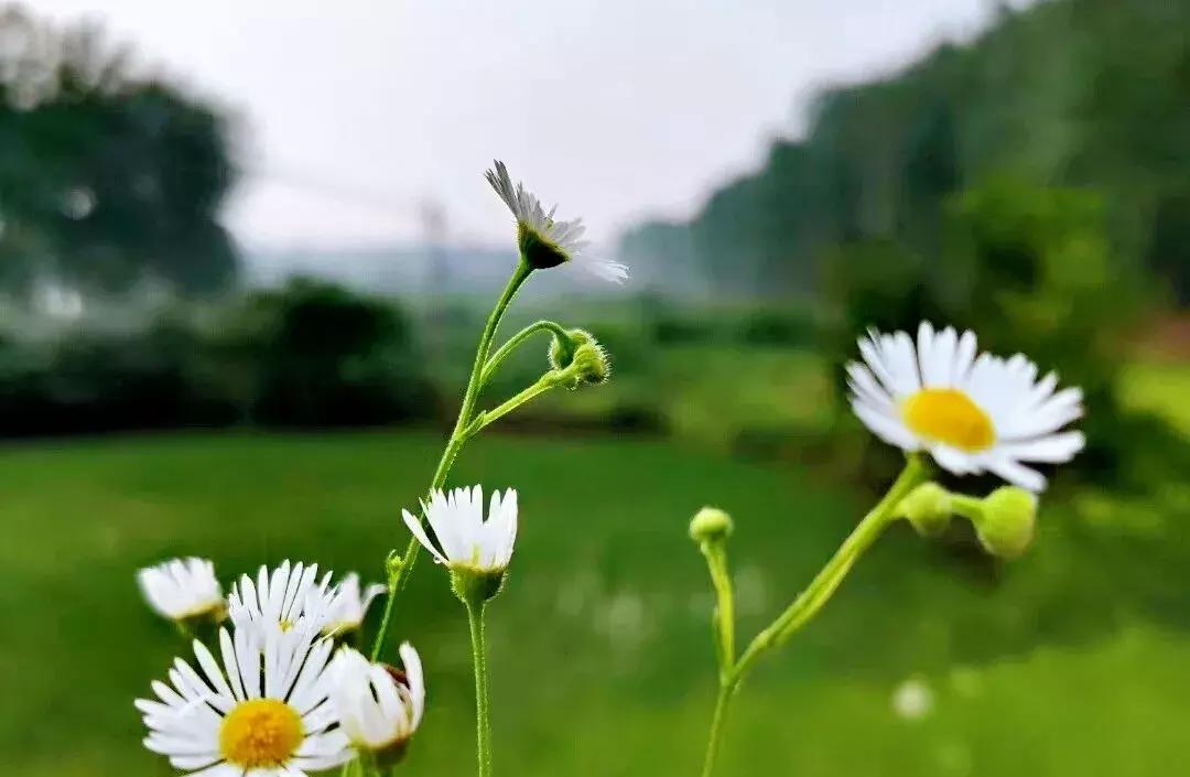 散文：八月，夏末秋初好时光（散文初秋时节）