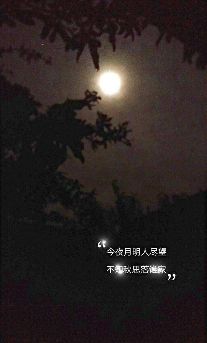 关于月是故乡明的诗句（明月何曾是两乡：十首咏月的著名唐诗，欣赏十位大诗人的情怀）