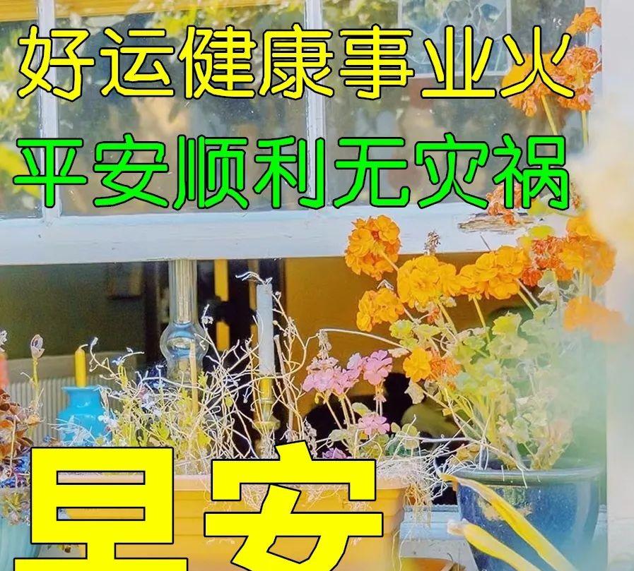 朋友早安健康平安问候语（祝福健康平安的早安问候）