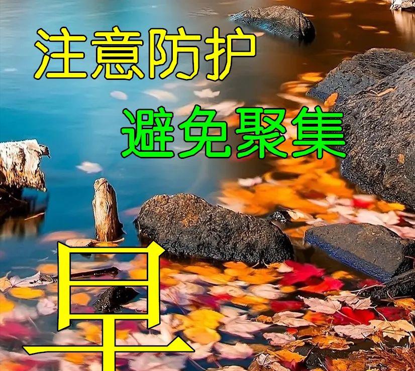 朋友早安健康平安问候语（祝福健康平安的早安问候）