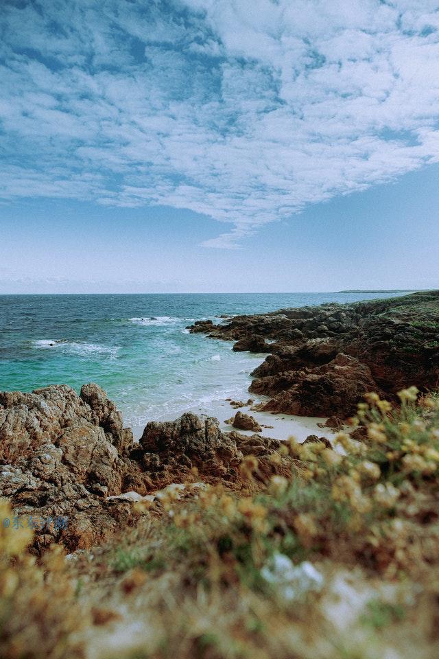 湿地公园设计要求（湿地公园规划设计规范）