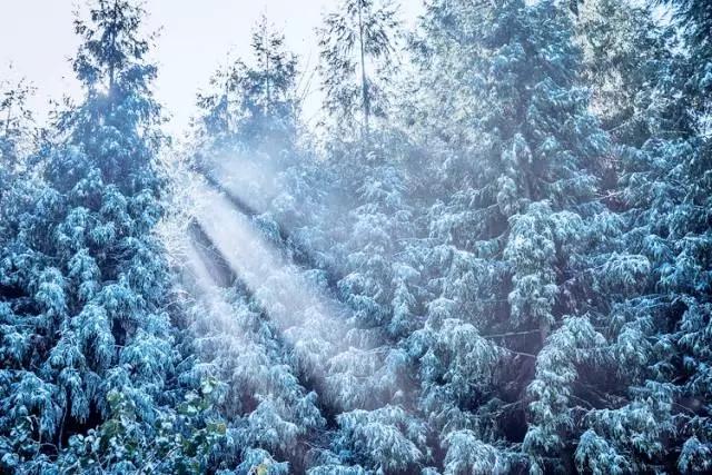 描写雪景的名家散文（写雪景的散文名篇）