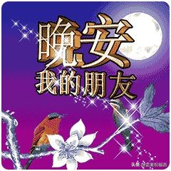 适合在深夜发朋友圈的句子晚安（深夜发朋友圈晚安的说说）