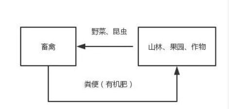 生态养殖的好处（生态养殖有什么用）