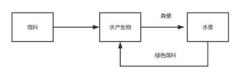 生态养殖的好处（生态养殖有什么用）