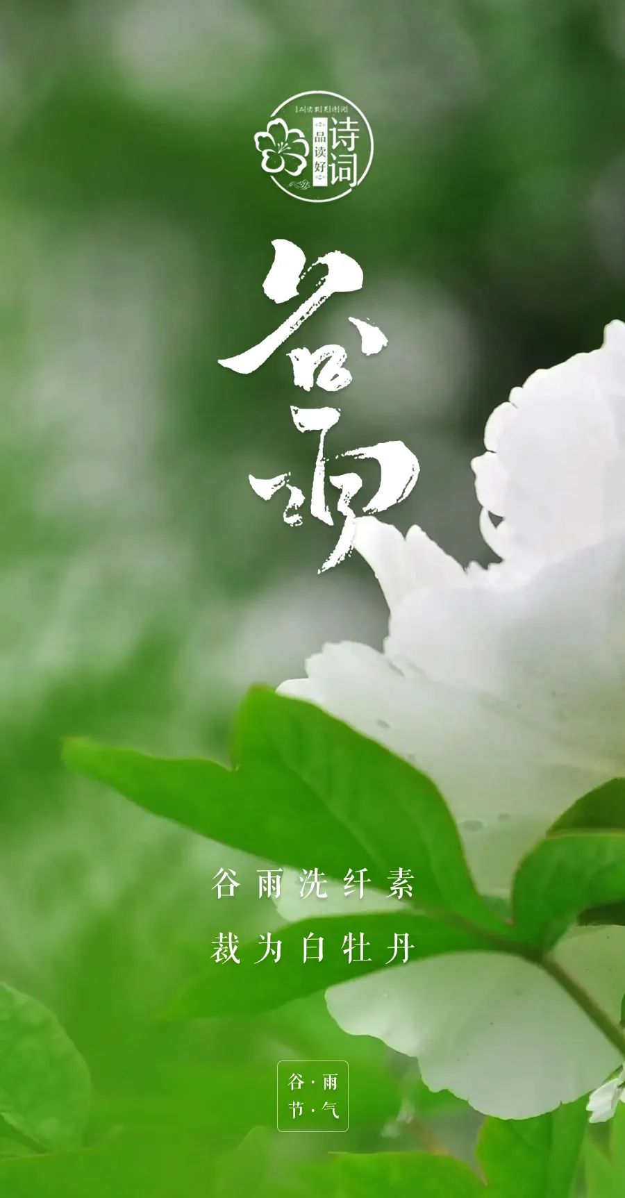 谷雨时美好春光的诗（关于春天谷雨的诗句）