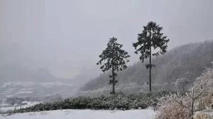 雪景作文怎么写指导（怎么写好雪景的作文?）