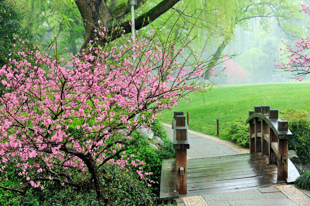 时光煮雨,岁月缝花,回首相遇,愿岁月静好,与君同老!（时间煮雨,岁月缝花,回首相遇,愿岁月静好）