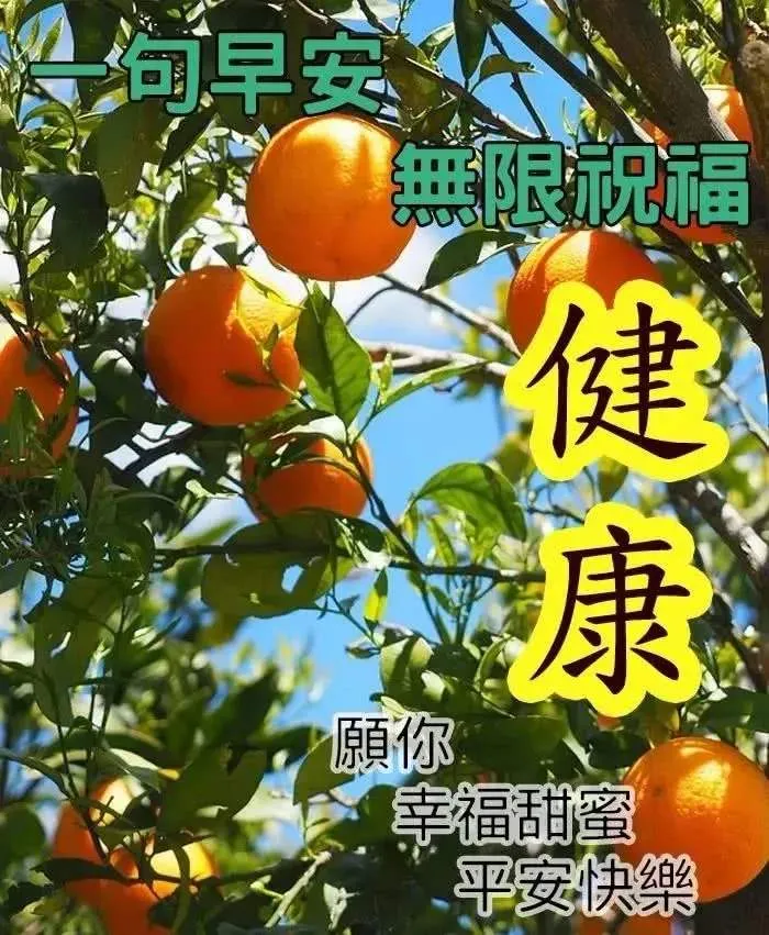 早安你好,岁月静好什么意思（岁月静好早安心语）