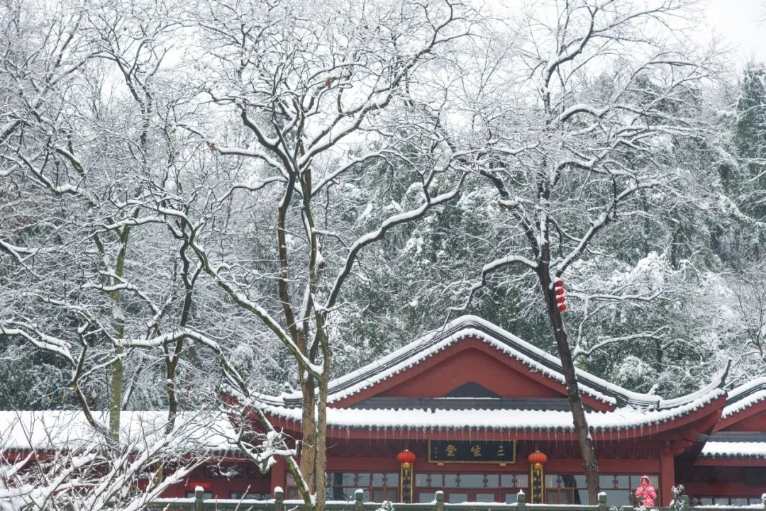 春雪的诗句古诗大全（有关春雪的诗）