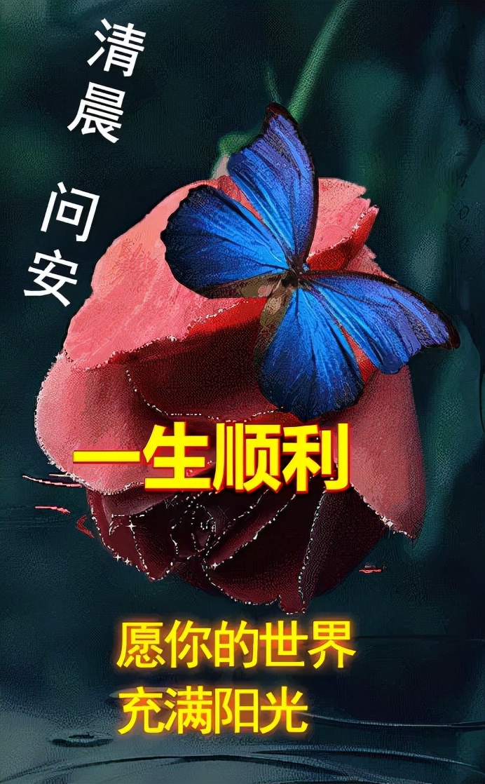 早安你好,岁月静好什么意思（岁月静好早安心语）