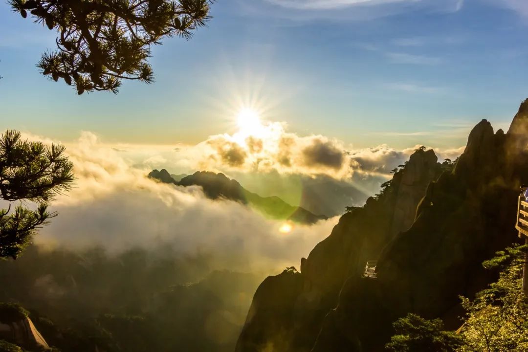 重阳节的古诗10首（赞美重阳的诗）